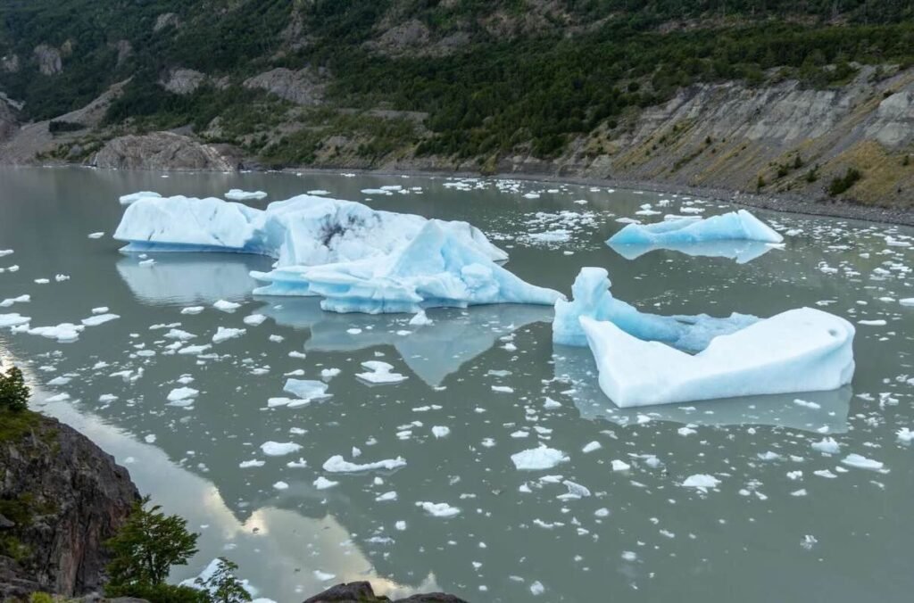climate action – WorldEdits